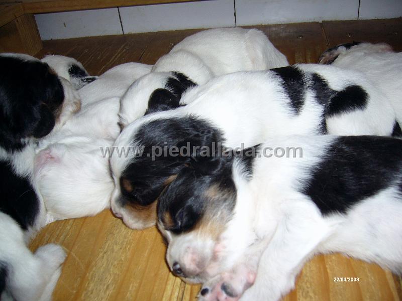 102_0547.JPG - ....durmiendo