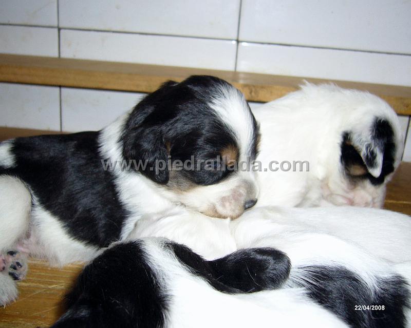 102_0548.JPG - ....durmiendo