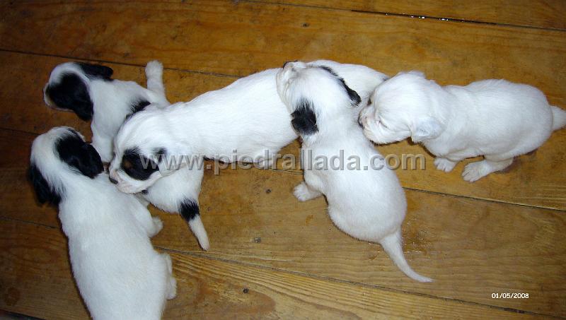 102_0600.JPG - los rezagados