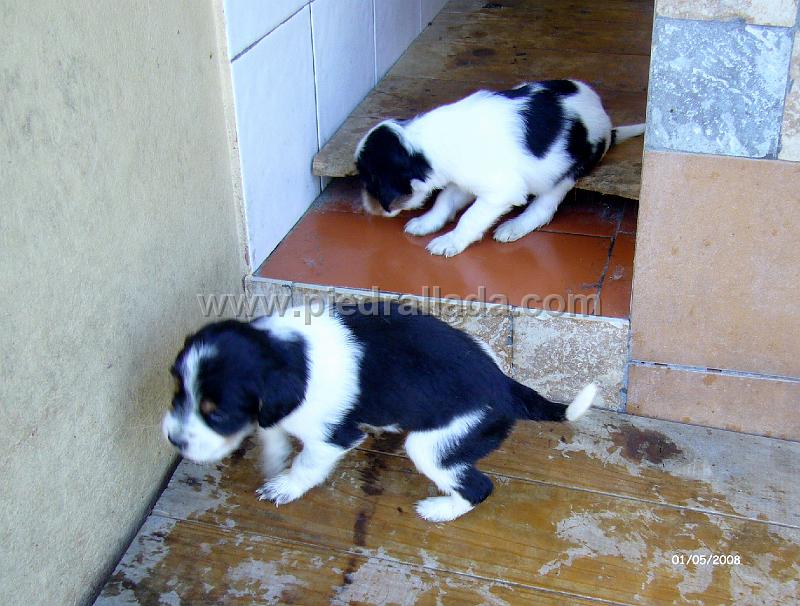 102_0601.JPG - van saliendo