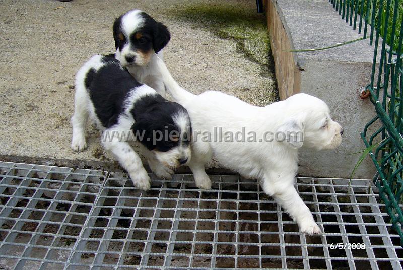 102_0618.JPG - tanteando el vacio