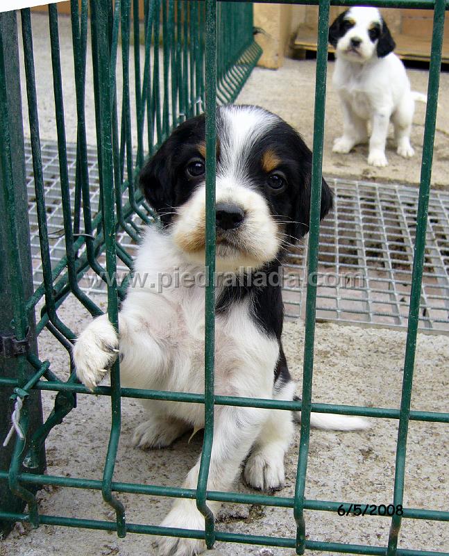 102_0620.JPG - Hola