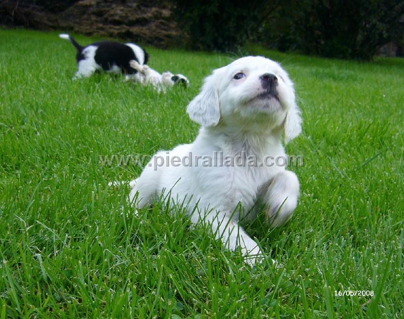 102_0664.JPG - Hola...