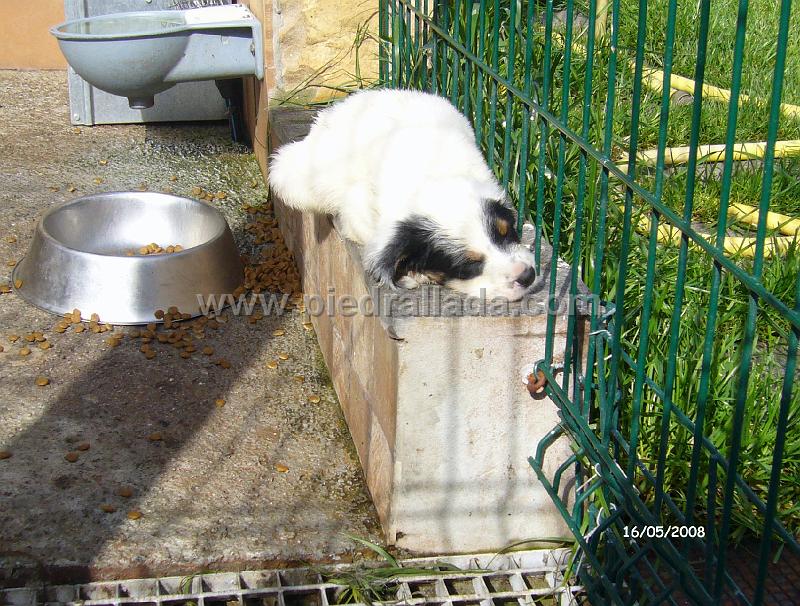102_0710.JPG - siesta