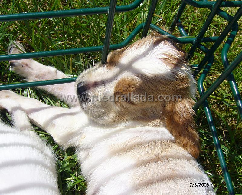 102_0855.JPG - cualquier postura es buena para una siesta
