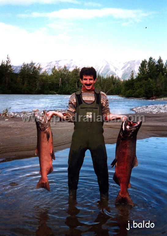 Salmon3.jpg - Una de peces (más bien pezones) en Alaska-1991-