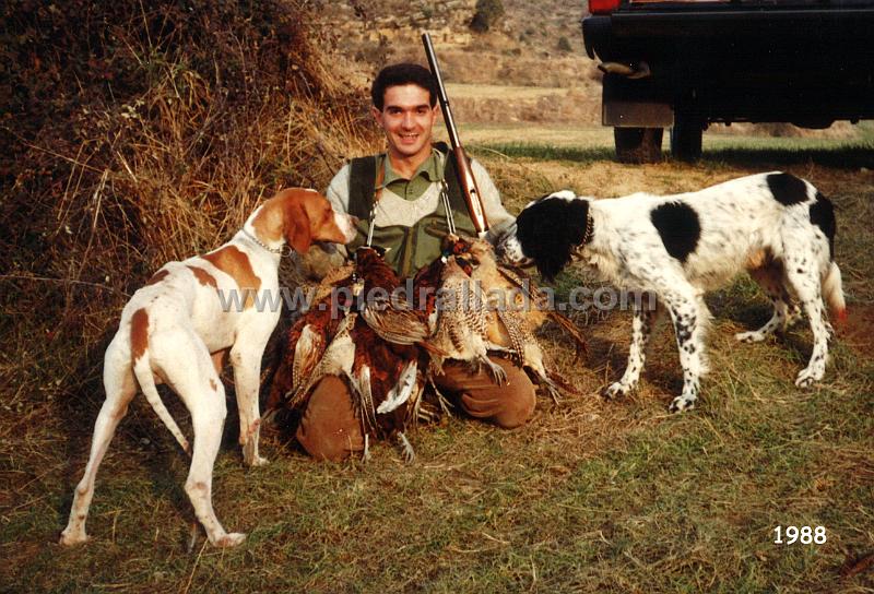 faisanes_2008.jpg - Carlos con el pointer Yogui y el setter Tizón en una suelta de faisan en 1988