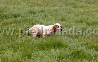 iola_0476.jpg
