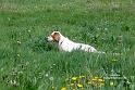 iola_0442