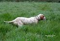 iola_0478