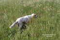 iola_0542