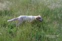 iola_0543