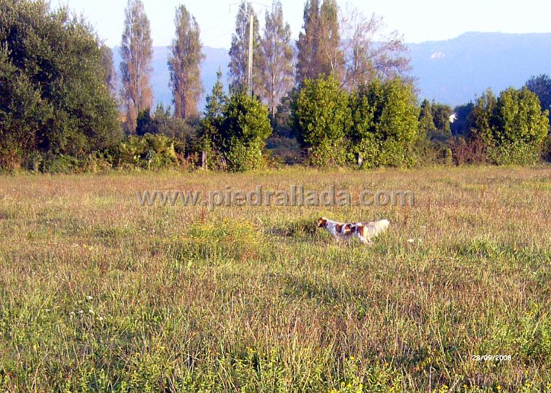 kota_0314.JPG - en muestra