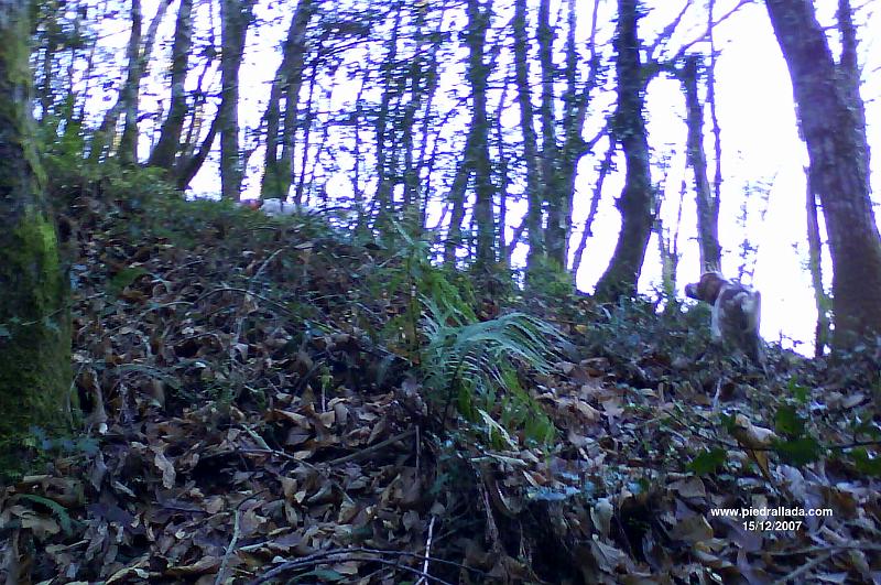 102_025.JPG - Ecora y Haro