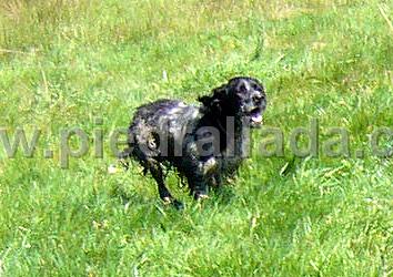 102_0494.JPG - Bilbo al galope