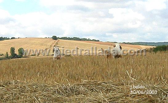roscales-2085.JPG - Ami y Boni