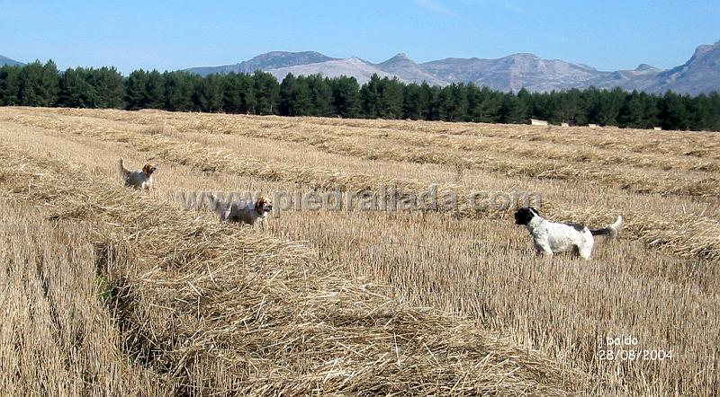 132_3277.jpg - Gamba, Ecora y Tali