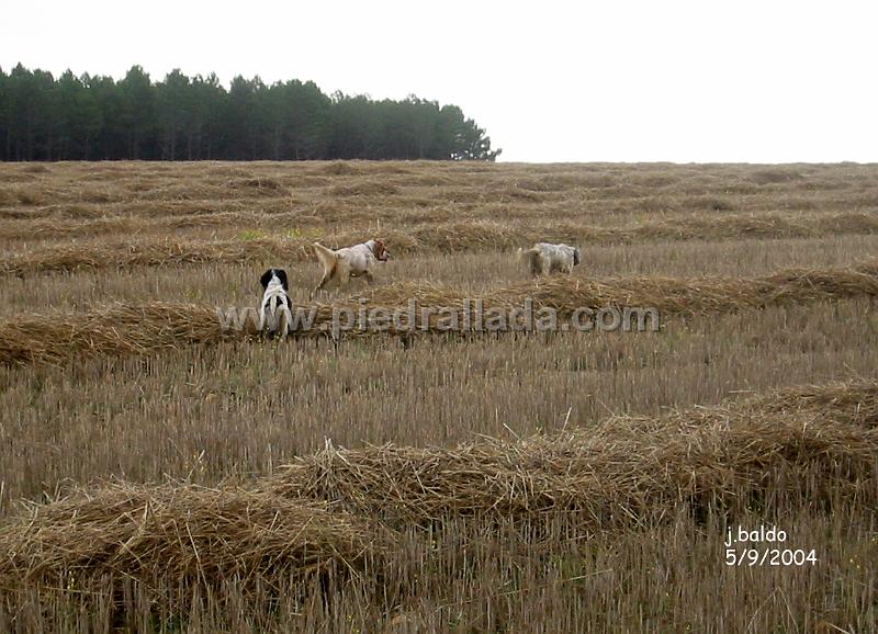 133_3330.jpg - Ami, Ecora y Tali