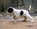 jana_00348