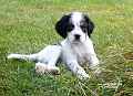 jana_00473