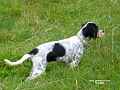 jana_00729