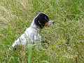 jana_00732