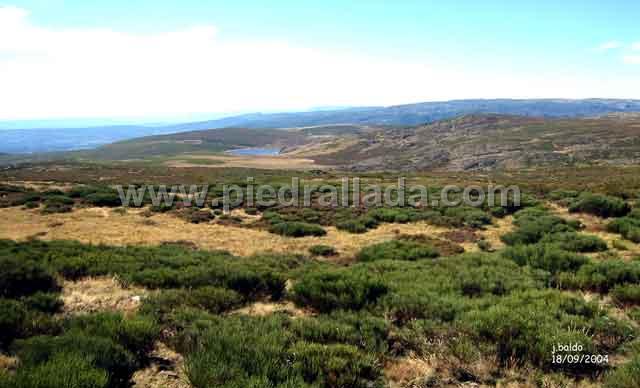 peces_3382w.jpg - Panorámica