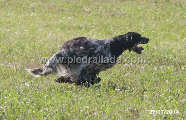 DSC_0127.jpg - Bilbo d�ndolo todo