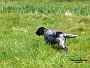 bilbo_0229