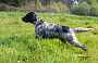 bilbo_0232