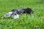 bilbo_0423