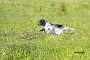 bilbo_0558