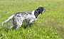bilbo_0564