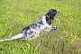 bilbo_0565