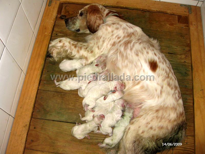 IMG_2136.JPG - nueve semanas después, una madre agotada tras doce horas de parto