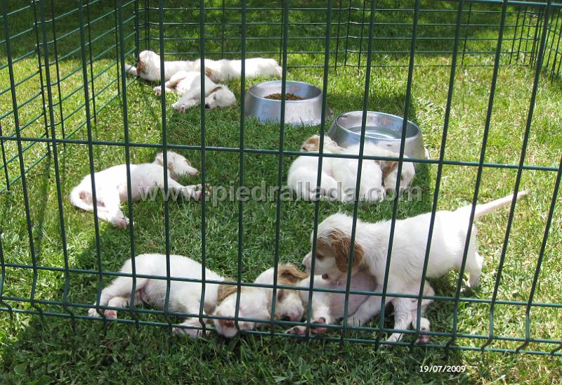 IMG_2262.JPG - Una buena siesta