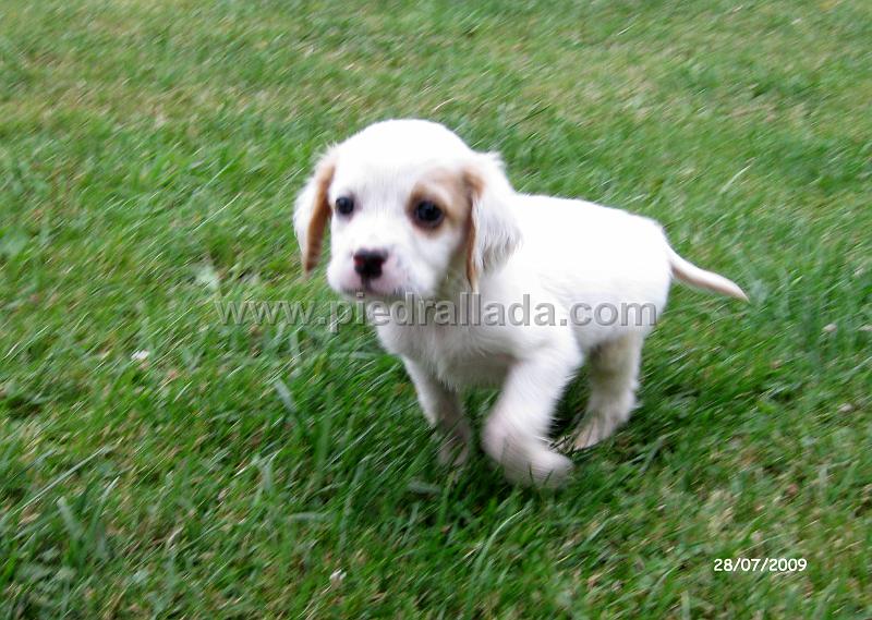 IMG_2289.JPG - corre, corre