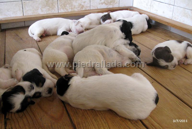 IMG_5724.JPG - Comer y dormir