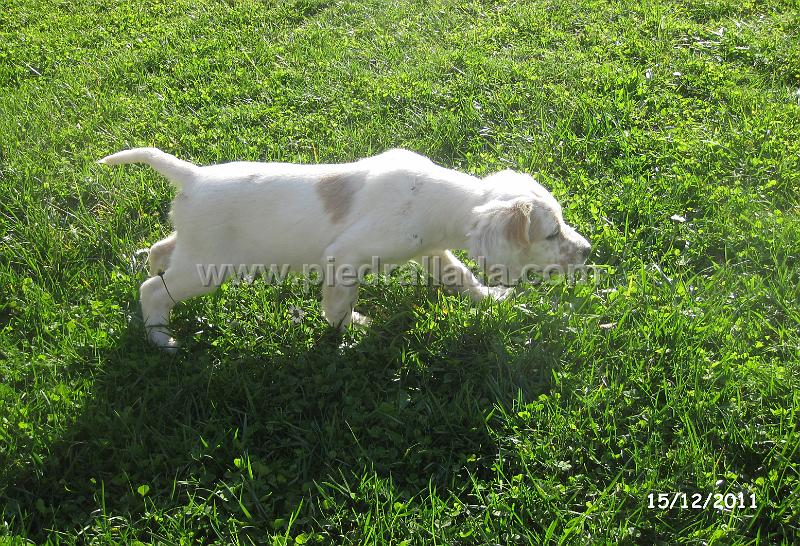 IMG_6495.JPG - Ondo en muestra al señuelo