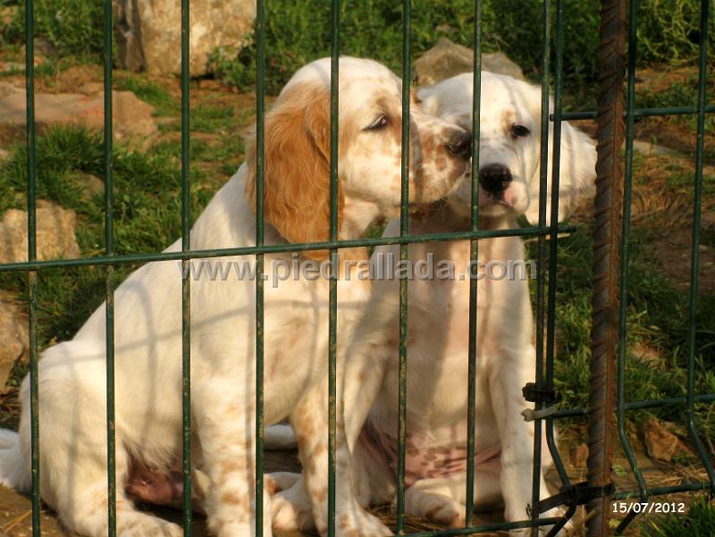 IMG_7549.JPG - Una pareja