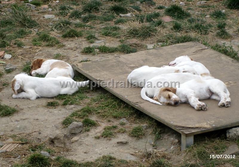 IMG_7555.JPG - Siesta