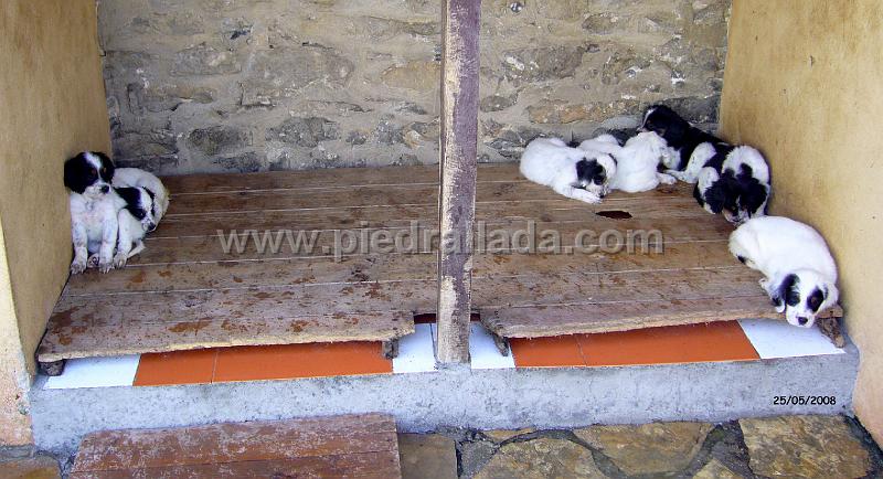 102_0802.JPG - A dormir