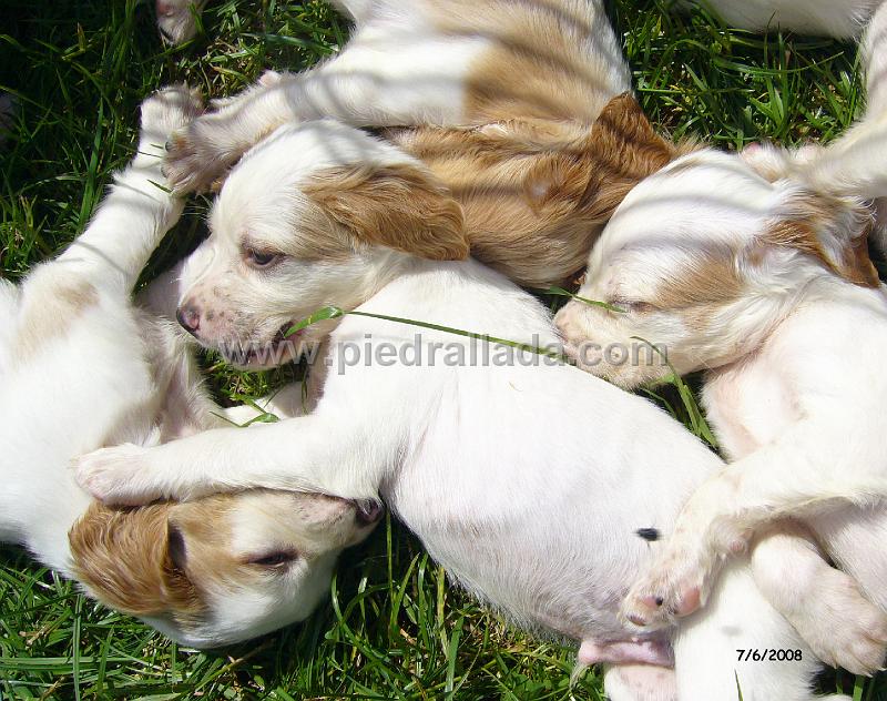 102_0854.JPG - a dormir