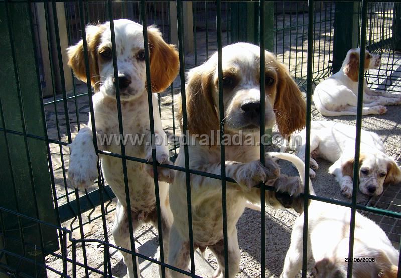 102_0930.JPG - hola