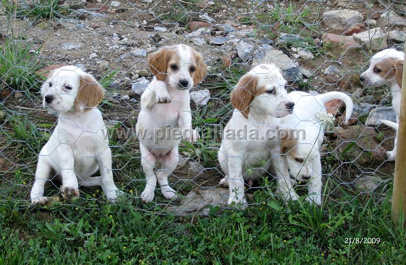 IMG_2448.JPG - La chiqui entre sus hermanos