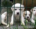 IMG_2890
