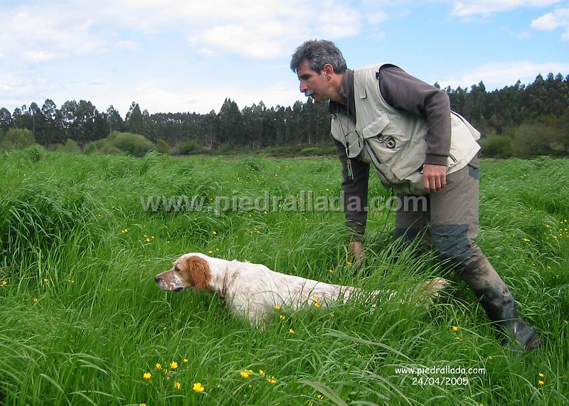 gamba_4167.jpg - Entrenando
