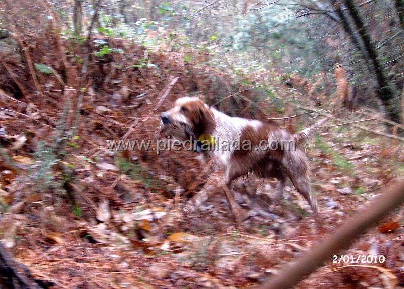 IMG_3322.JPG - Un buen obro