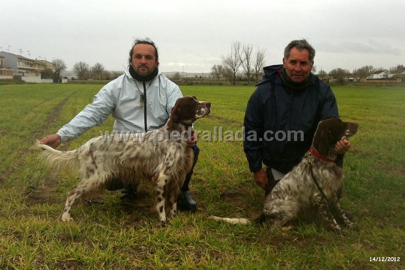 TOLEDO2012_1073.JPG - Mambo y Winner, clasificados con EXC en las pruebas de invierno de GB en Toledo