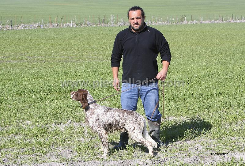 mambo_4064.JPG - Mambo con Javier Moreno en Andalucía